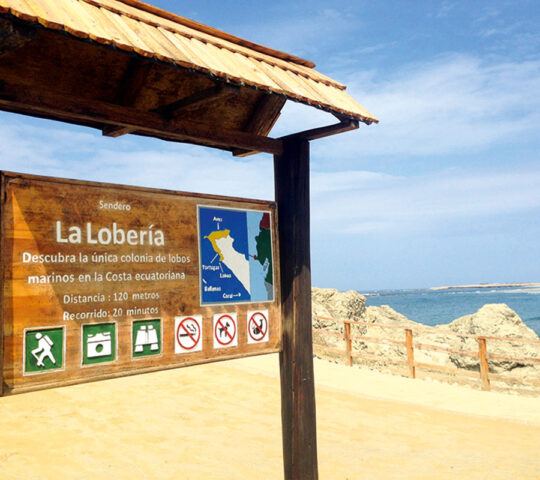 La Lobería